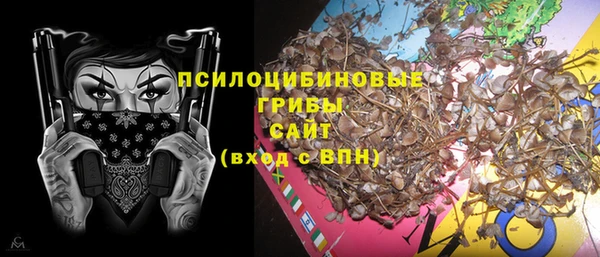 марки lsd Дмитриев