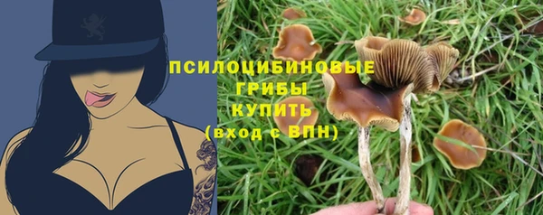 марки lsd Дмитриев