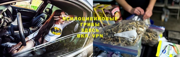 эйфоретик Дмитровск